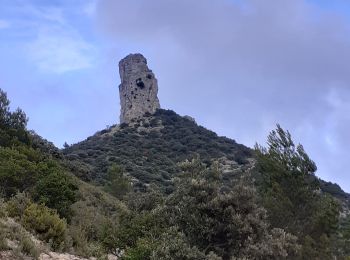 Excursión Senderismo Gémenos - Roque Forcade - Photo