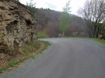 Tour Zu Fuß St. Veith - PO - Photo