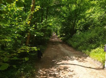 Tour Wandern Braine-l’Alleud - balade 4 - Photo