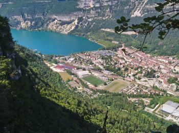 Tour Wandern Saint-Martin-du-Frêne - Chamoise Le signal  - Photo