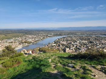 Trail Walking Tournon-sur-Rhône - Tournon chemin St Joseph - belvédère de Pierre - Photo