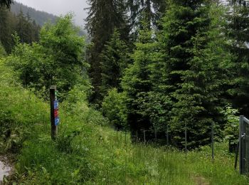 Randonnée Marche Arâches-la-Frasse - Carroz les Grangettes pra rôti - Photo