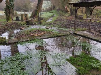 Tour Wandern Valorbiquet - Aux alentours de St Cyr du Ronceray  - Photo