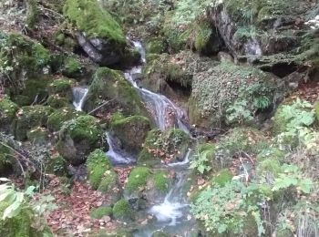 Randonnée Marche École - Dent et col d'Arclusaz par le col de la cochette - Photo