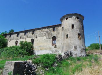 Excursión A pie Manciano - n.1 Manciano percorso medio - Photo