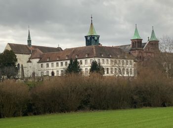 Tocht sport Reiningue - Tour couvent Oelenberg - Photo