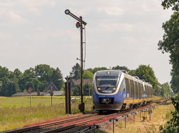 Percorso A piedi Dorsten - H Deuten - SGV-Heim Endeln - Photo