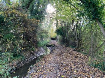 Randonnée Marche Diepenbeek - La réserve naturelle Nietelbroeken à Kortessem - Photo