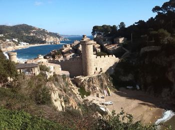 Tocht Stappen Tossa de Mar - Wikiloc - Tossa de Mar - Mirador del Codolar - Photo