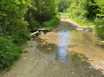 Tour Mountainbike Ormoy-le-Davien - 130522 - Boucle VTT - Ormoy le davien en passant par le canal de l'Ourc - Photo