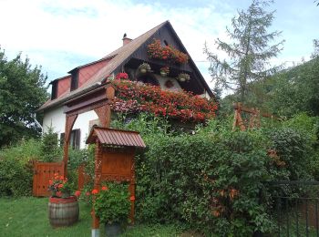 Tour Zu Fuß Tschakabrünn - Z+, Csákberény - Photo