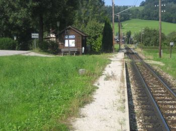 Tour Zu Fuß  - Pielachtaler Pilgerweg - Photo