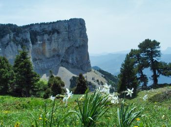 Randonnée Marche Romeyer - PAS DE PISON COL DES BACHASSON - Photo