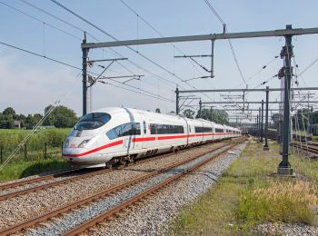 Tour Zu Fuß De Ronde Venen - Groene Wissel: Abcoude - Photo