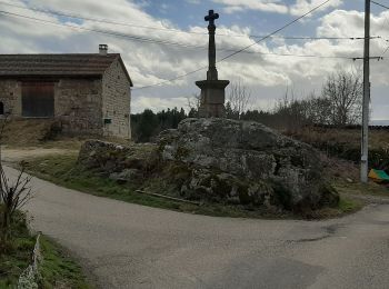 Randonnée Marche Usson-en-Forez - autour de Danieck  - Photo