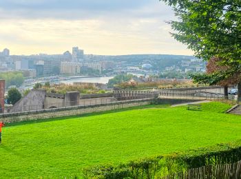 Excursión A pie Boulogne-Billancourt - Boulogne - Marne la Coquette - Ville d'Avray - Meudon - Photo