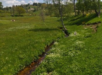 Trail Walking Saint-Urcize - st ursize chaldette - Photo