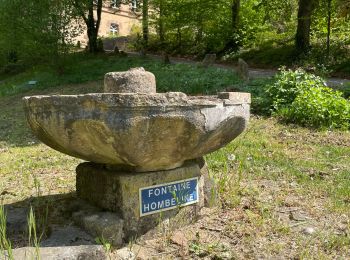 Randonnée Marche Arlon - Clairefontaine - Photo