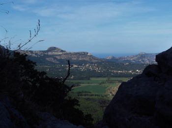 Tocht Stappen Nans-les-Pins - Béguines par voie Gombault - Photo