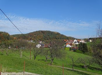 Tocht Te voet Sankt Oswald bei Plankenwarth - Wanderweg 34 - Photo