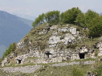 Percorso A piedi Valli del Pasubio - Vallortigara - Busa del Novegno - Photo