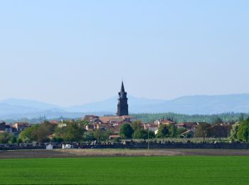 Randonnée Marche Maringues - Maringues_Butte_Montgacon - Photo