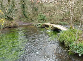 Trail Walking Sizun - SAINT CADOU - Photo