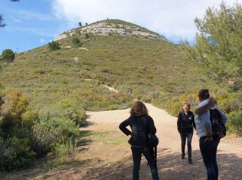 Randonnée Marche Marseille - Collines de Pagnol  - Photo