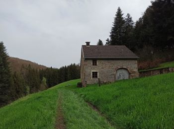 Tour Wandern Fougerolles-Saint-Valbert - 07-04-24 marche Téléthon Fougerolles - Photo