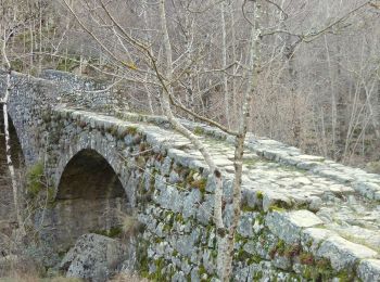 Excursión Senderismo Montpezat-sous-Bauzon - Balade-Le Villaret-La Forêt- Les Malfaugères - Photo