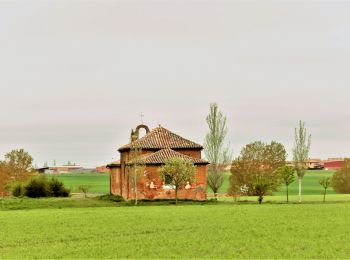 Percorso Marcia Moratinos - 28.04.18 Moratinos--El Burgo Ranero - Photo