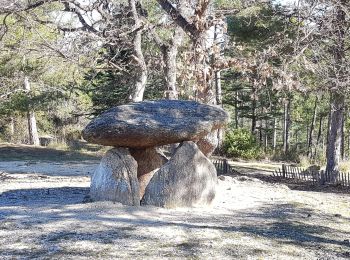 Trail Walking Corneilla-de-Conflent - Villefranche Corneilla ambo3 - Photo