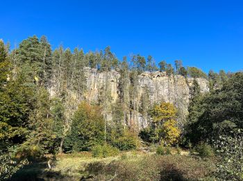 Tocht Te voet Sebnitz - Blauer Strich, Sächsische Schweiz (rechtselbisch) - Photo