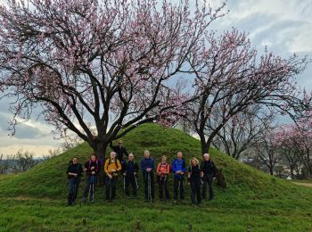 Tocht Stappen Riquewihr - Rando CLAS du 23/02/2023 - Photo