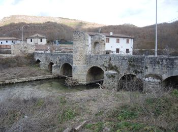 Trail On foot Fagnano Alto - Campana - Beffi - Photo