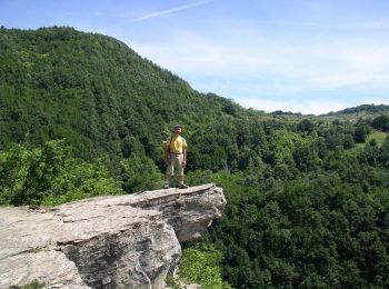 Tocht Te voet Tredozio - I grandi patriarchi arborei di Tredozio - Photo