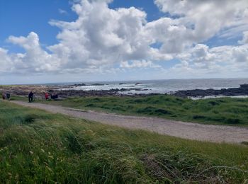 Trail Bicycle tourism Quiberon - QUIBERON BOUCLE VELO - Photo