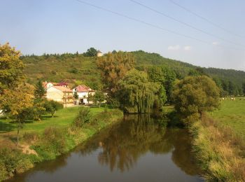 Excursión A pie Plzeň - CZ-6732 - Photo