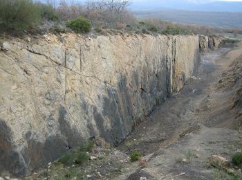 Randonnée A pied Cervera de Pisuerga - El Bosque Fósil - Photo