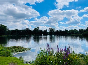 Randonnée Marche Diepenbeek - La vallée du Démer - Le ruisseau Dauten et les Dautewijers à Diepenbeek - Photo