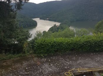 Tocht Stappen Chambles - gorges de la Loire  - Photo