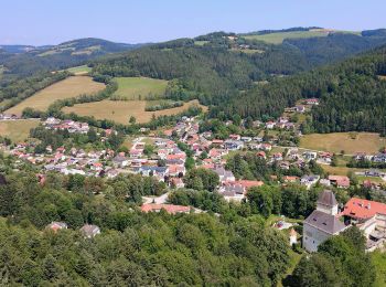 Randonnée A pied Feistritz am Wechsel - Feistritz am Wechsel - Hollabrunner Riegel (Gasthof zur Schönen Aussicht) - Eben - Kirchau - Photo