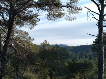 Tour Wandern Venelles - Venelles : Collet Blanc - Grand Collet - Photo