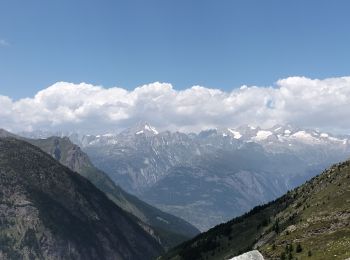 Trail Walking Simplon - Refuge Monté Leone - Photo