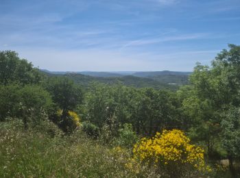 Trail Nordic walking Olmet-et-Villecun - Villecun Lavalette - Photo