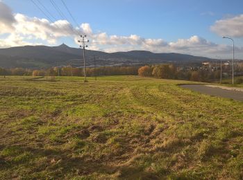 Randonnée A pied Dlouhý Most - [Ž] Jeřmanice - Vesecký rybník - Photo