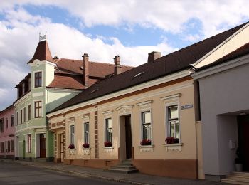 Randonnée A pied Gemeinde Wiesmath - Wiesmath - Hölle Braunstorfer - Annaberg - Wiesmath - Photo