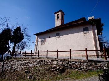 Percorso A piedi Sesto Fiorentino - Sentiero CAI 10 - Sez. Sesto Fiorentino - Photo