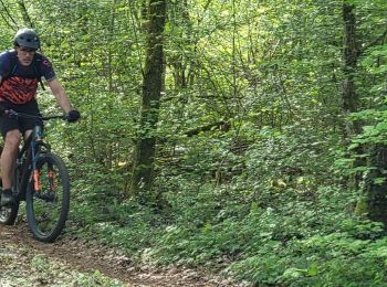 Percorso Bicicletta elettrica Ludres - sortie vtt évasion ludres - Photo