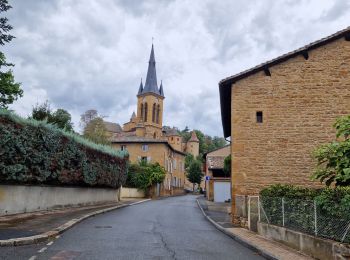 Tocht Stappen Porte des Pierres Dorées - Pierres-Dorées_Jarnioux=>Ville-sur-Jarnioux=>Saint-Clair - Photo